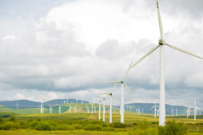 齐齐哈尔市打造“风电装备基地和新能源产业基地”